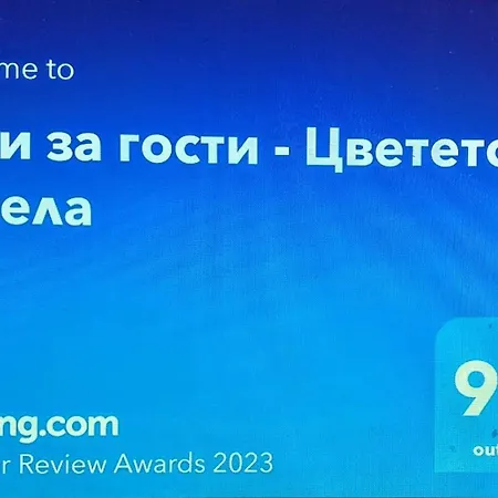 за гости - цветето на ангела 4*