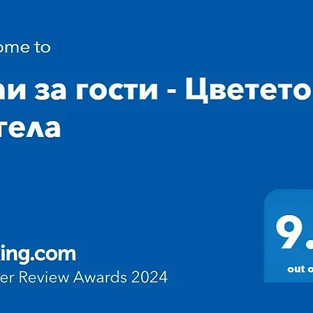 за гости - цветето на ангела * Bankya