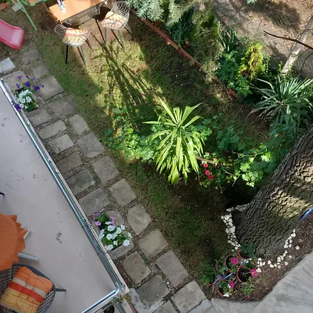 за гости - цветето на ангела