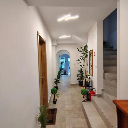 за гости - цветето на ангела