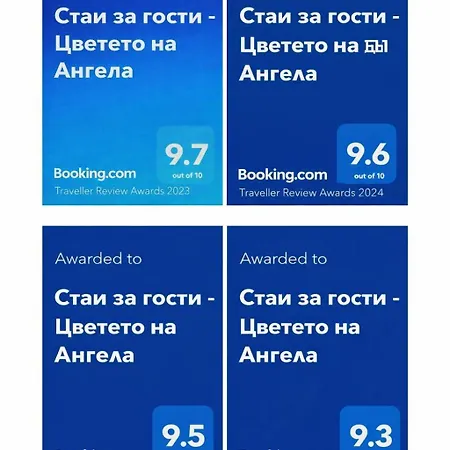 за гости цветето на ангела 4*