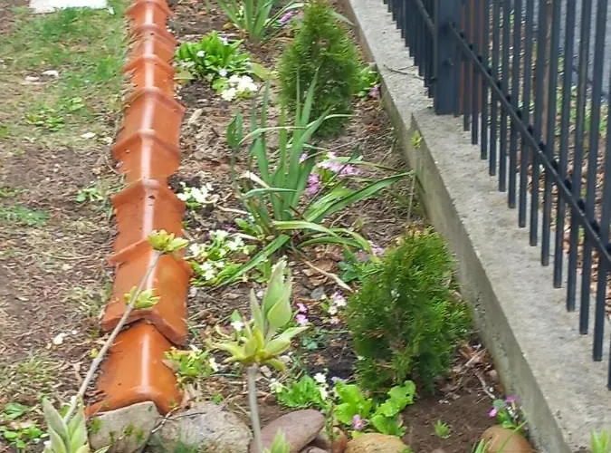 за гости - цветето на ангела 4*