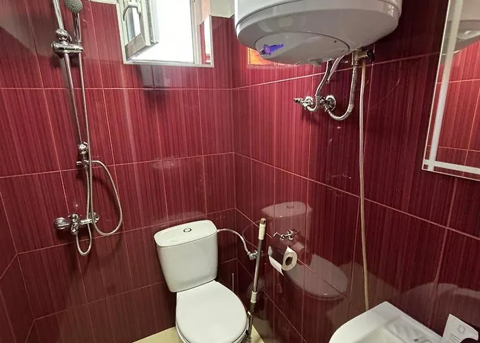 за гости - цветето на ангела Bankya