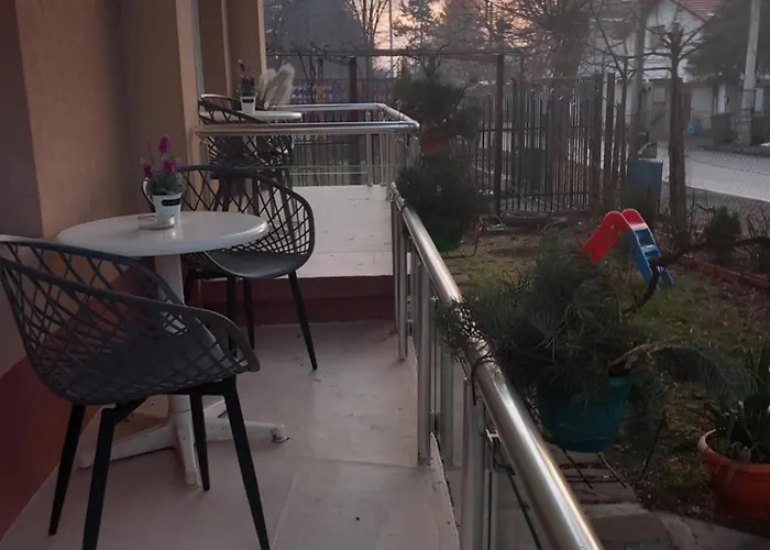 за гости - цветето на ангела 4*