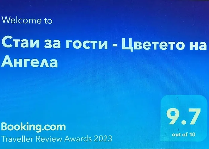 за гости - цветето на ангела 4*