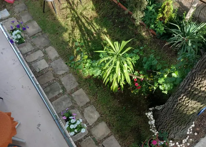 за гости - цветето на ангела