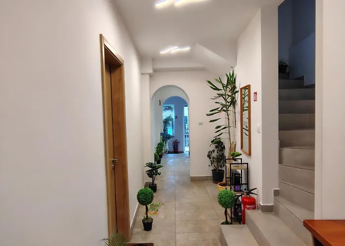 за гости - цветето на ангела